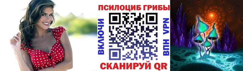 Галлюциногенные грибы Cubensis  Александров 